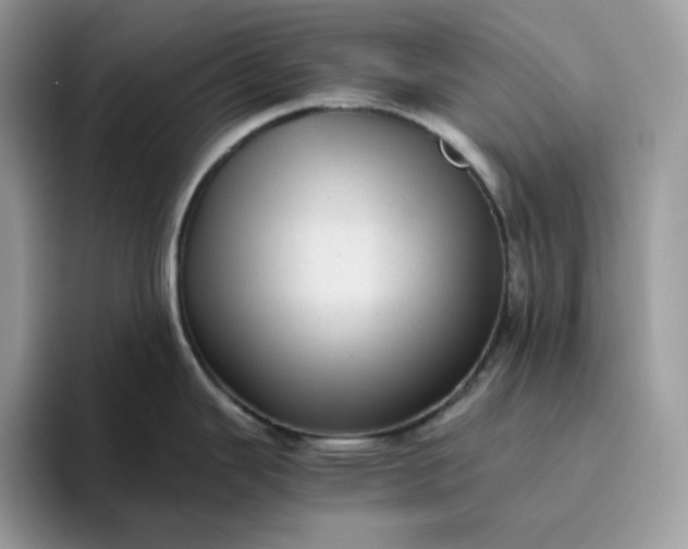 X0000095941343200801251102