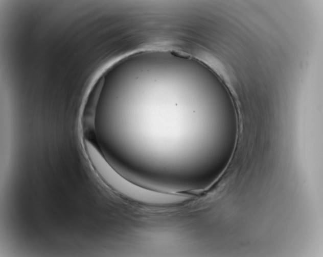 X0000095941344200801251102