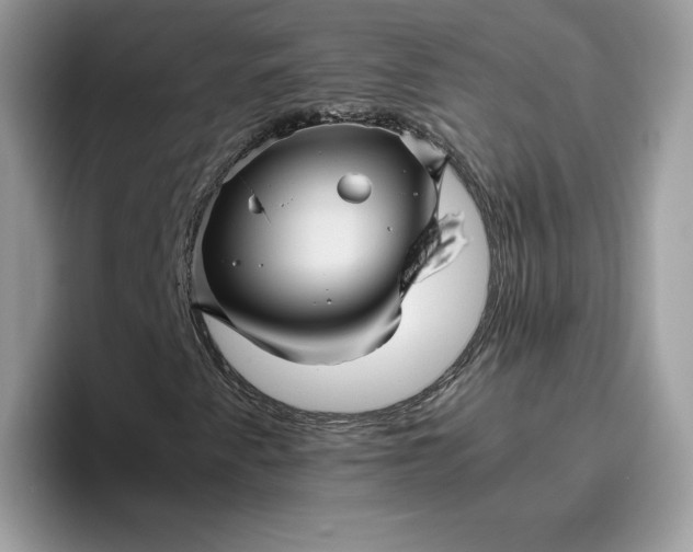 X0000095941345200801251102
