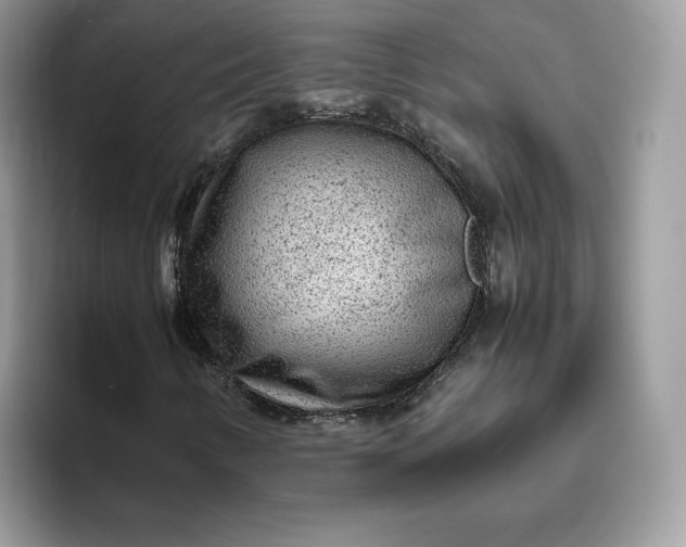 X0000095941346200801251102