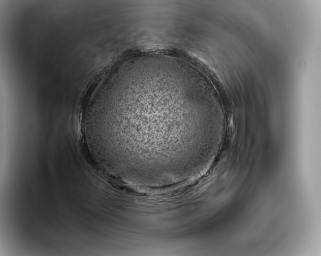 X0000095941348200801251102