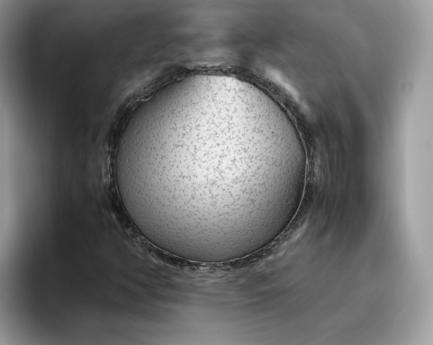 X0000095941350200801251102
