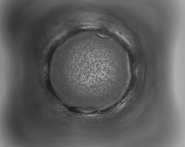 X0000095941351200801251102