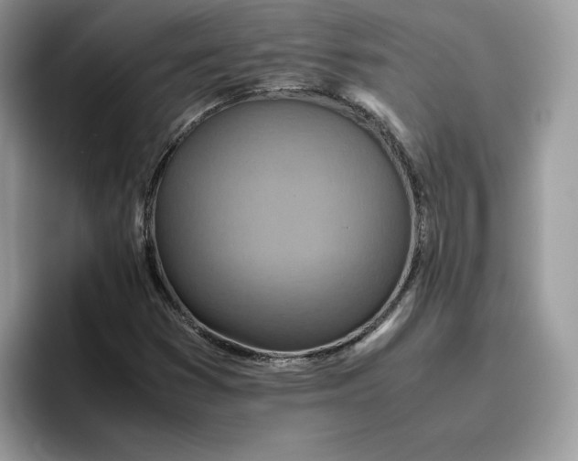 X0000095941353200801251102