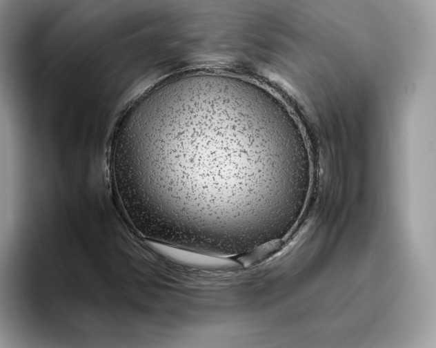 X0000095941354200801251102