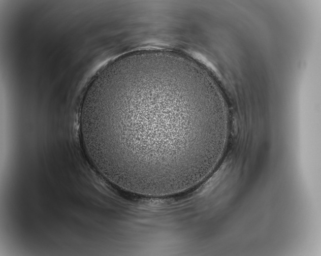 X0000095941355200801251102