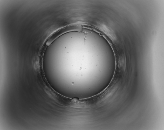 X0000095941356200801251102