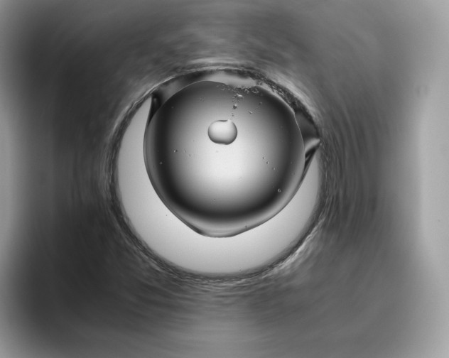 X0000095941357200801251101