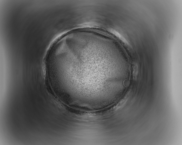 X0000095941358200801251101