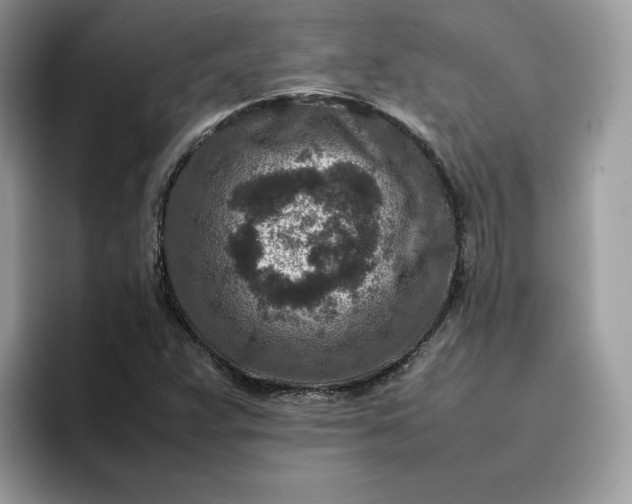X0000095941359200801251101