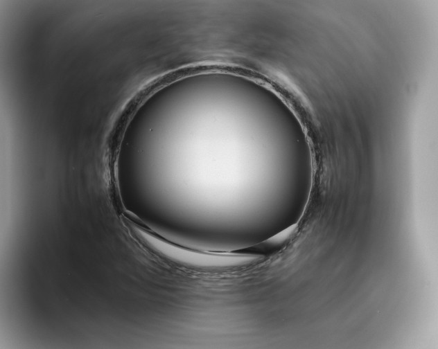 X0000095941360200801251101