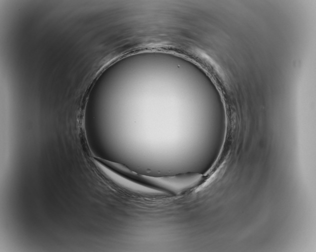 X0000095941361200801251101
