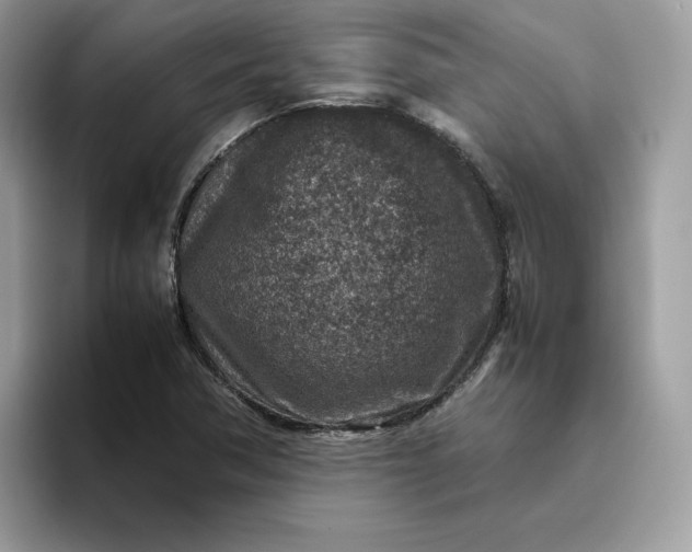 X0000095941362200801251101