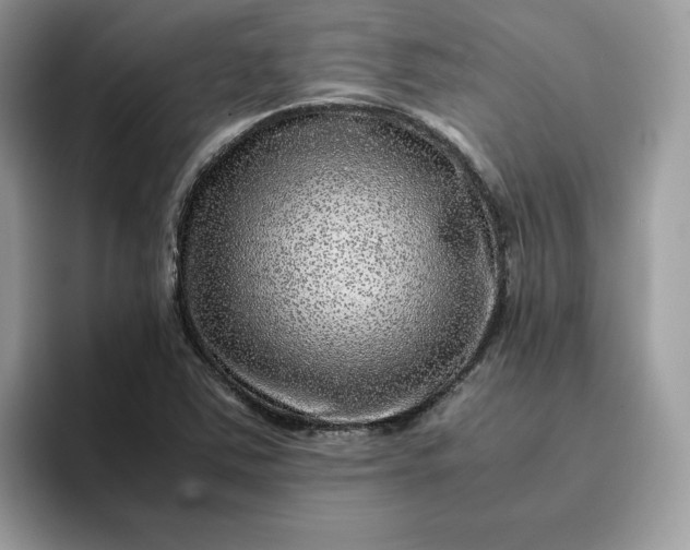 X0000095941363200801251101
