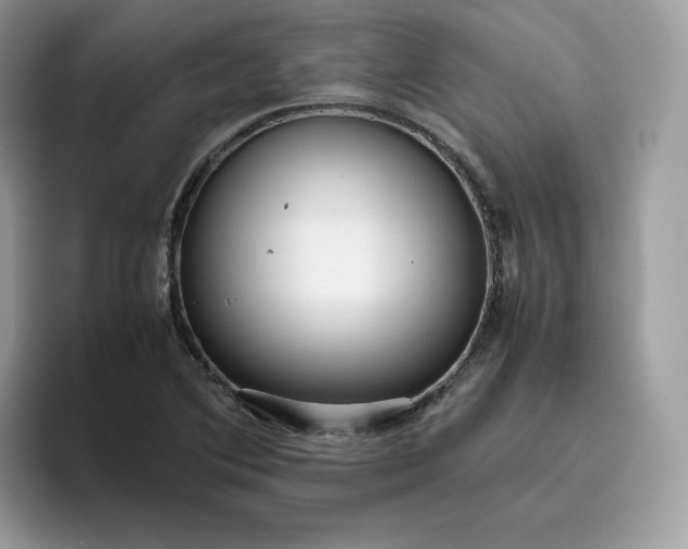 X0000095941364200801251101