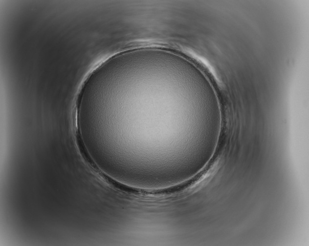 X0000095941365200801251101