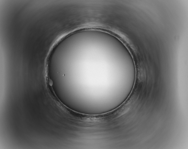 X0000095941366200801251101