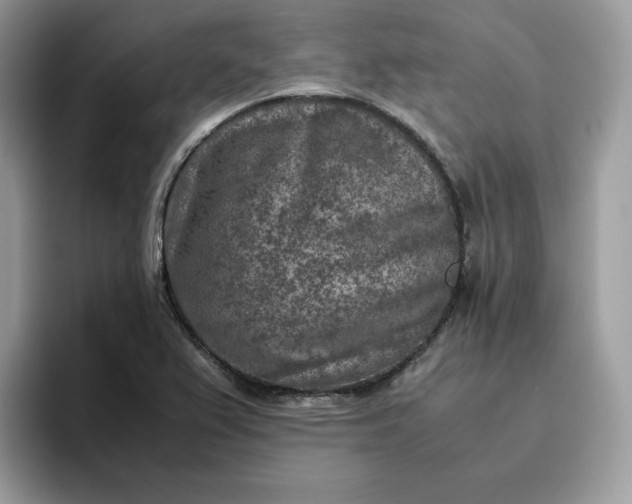 X0000095941367200801251101