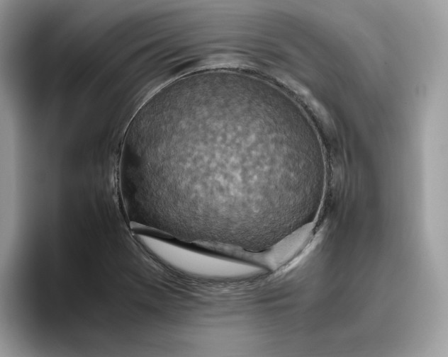 X0000095941369200801251101