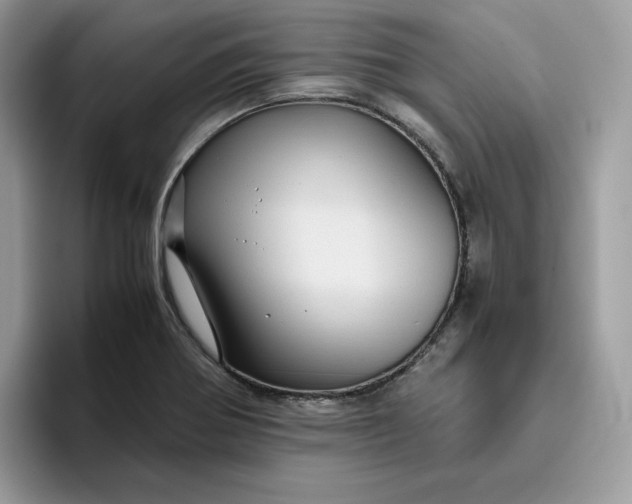 X0000095941370200801251101