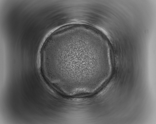 X0000095941371200801251101