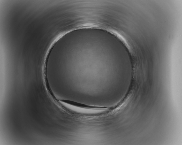 X0000095941373200801251101