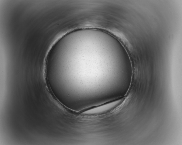 X0000095941374200801251101