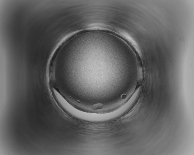 X0000095941376200801251101