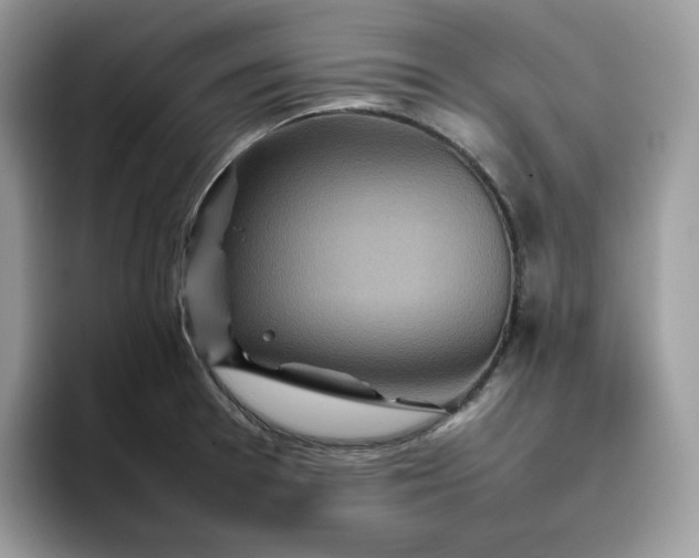 X0000095941377200801251101