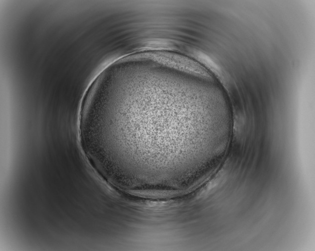 X0000095941378200801251101