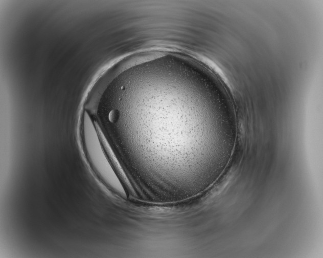 X0000095941379200801251101