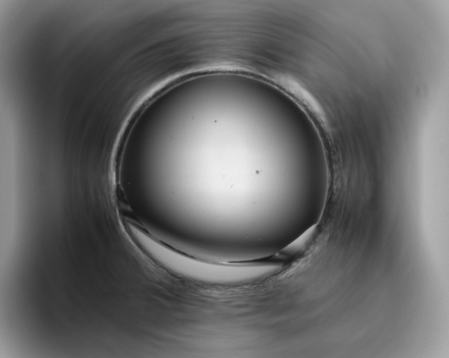 X0000095941380200801251101
