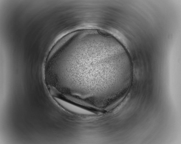 X0000095941382200801251101