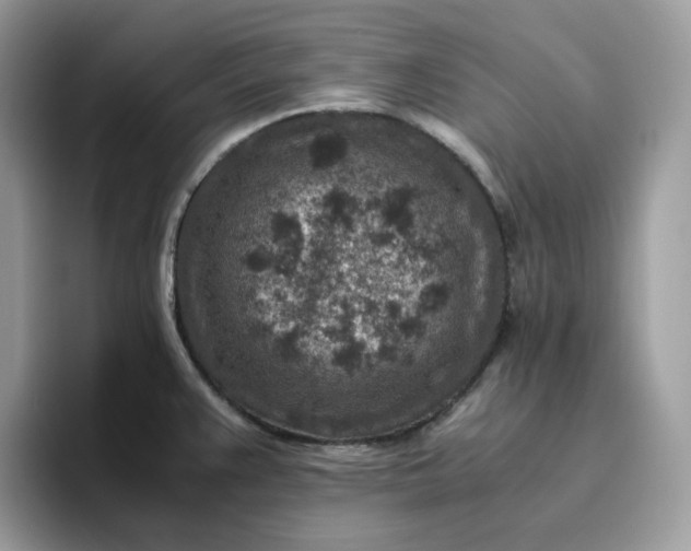 X0000095941383200801251101