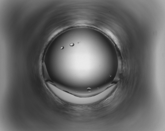 X0000095941384200801251101