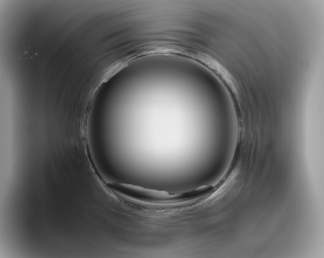 X0000095941385200801251101