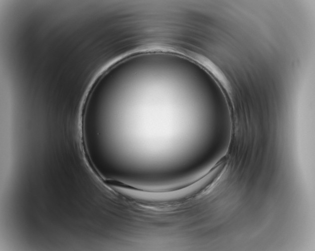 X0000095941388200801251101