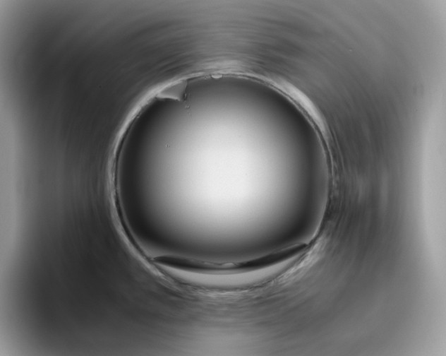 X0000095941389200801251101