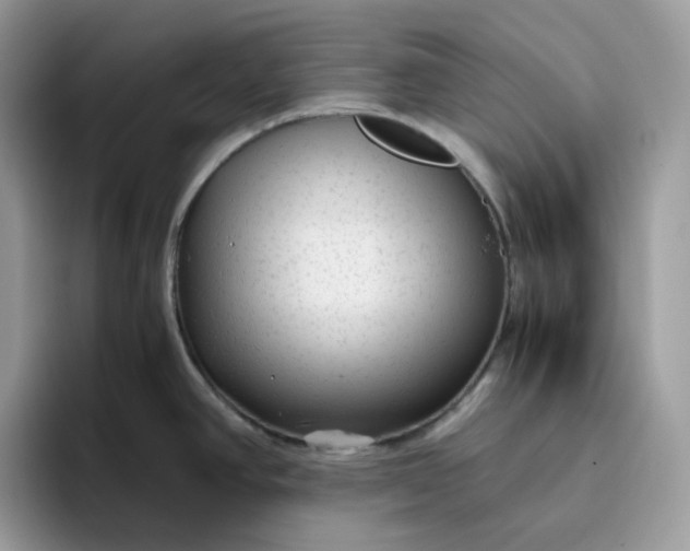 X0000095941390200801251101