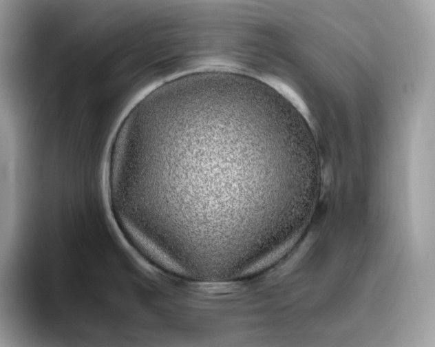 X0000095941391200801251101