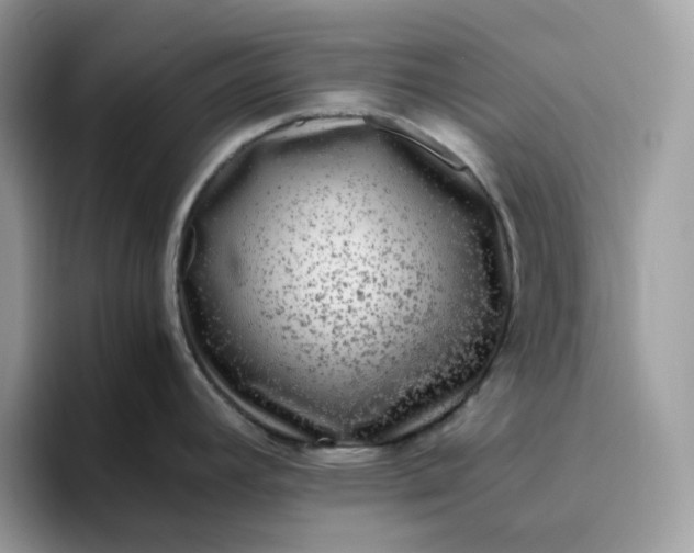 X0000095941392200801251101