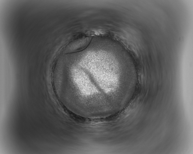 X0000095941393200801251100