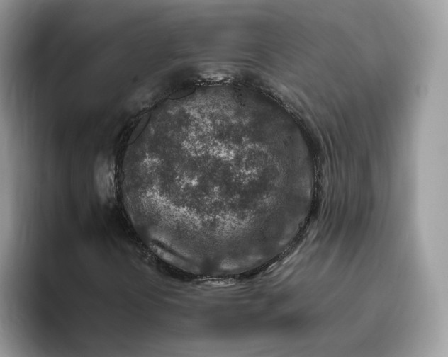 X0000095941394200801251100