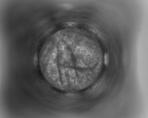 X0000095941395200801251100