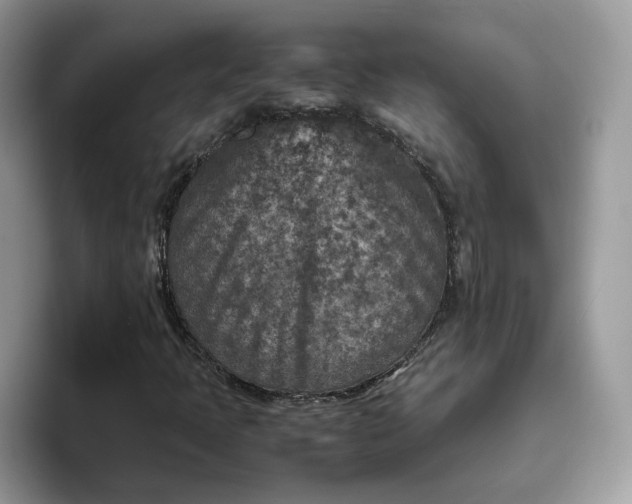 X0000095941397200801251100
