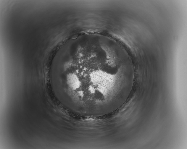 X0000095941399200801251100
