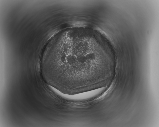 X0000095941401200801251101