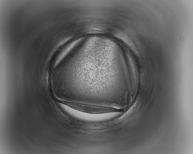 X0000095941402200801251101