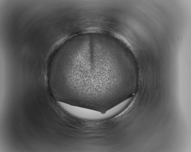 X0000095941403200801251101