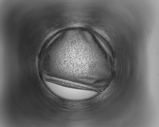 X0000095941404200801251101